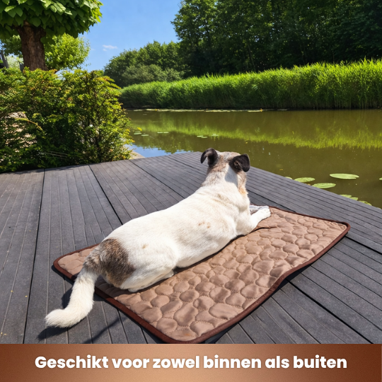 koelmat hond bruin