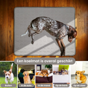 verkoelingsmat honden
