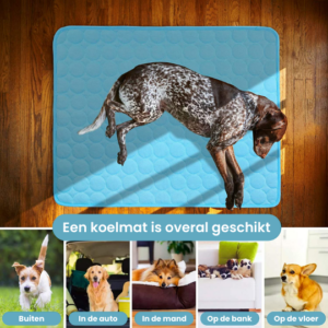 verkoelingsmat hond