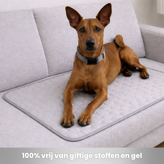 Koelmat - Grijs - Afbeelding 8