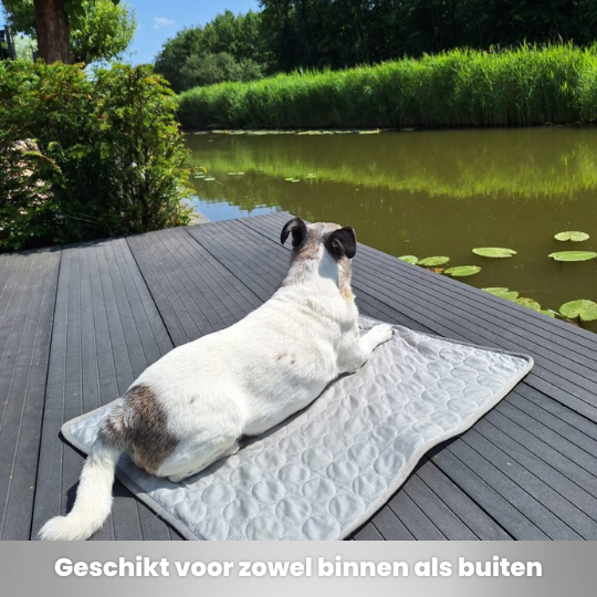 Koelmat - Grijs - Afbeelding 2