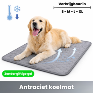 afkoelmat hond