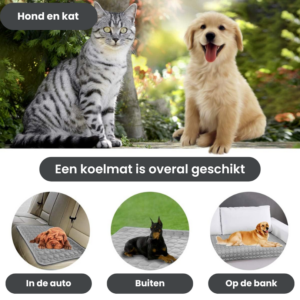 antraciet koelmat hond
