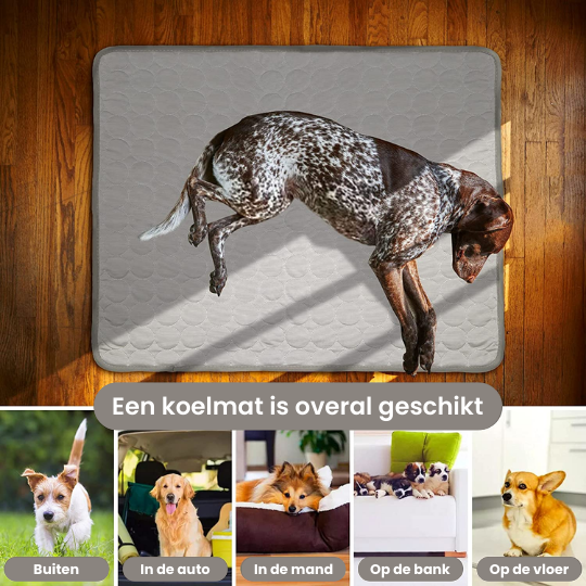 verkoeling hond