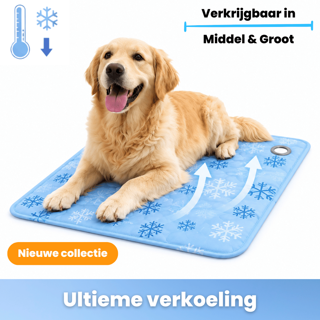 verkoelende hondenmat blauw